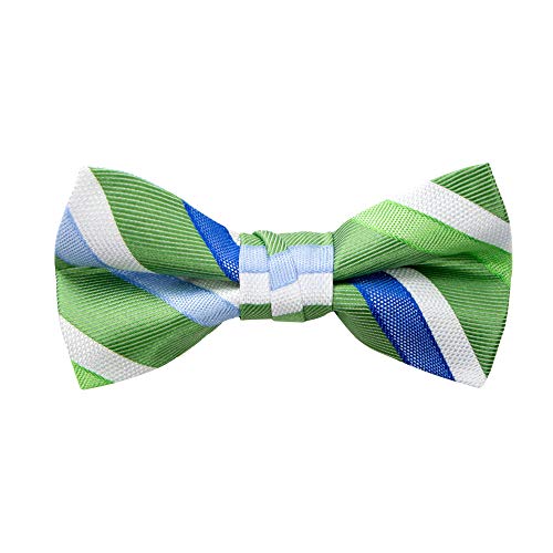 Spring Notion Boy's Striped Woven Bow Tie