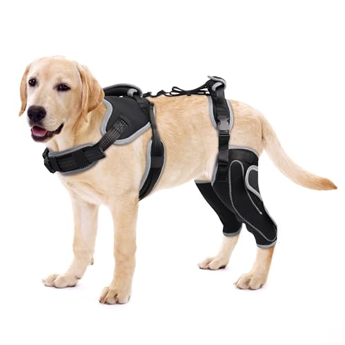 Image of Dog Knee Brace for Torn ACL&Luxating Patella-Both Leg-Upgraded-XL | Non-Slip Joint Brace,Adjustable Support With Sufficient Wrapping and Support & Luxating Patella,Pain Relief&Better Recovery