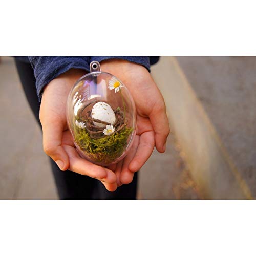Lealoo 50 Eier aus Kunststoff, transparent, teilbar, 8 cm, Lebensmittelbehälter