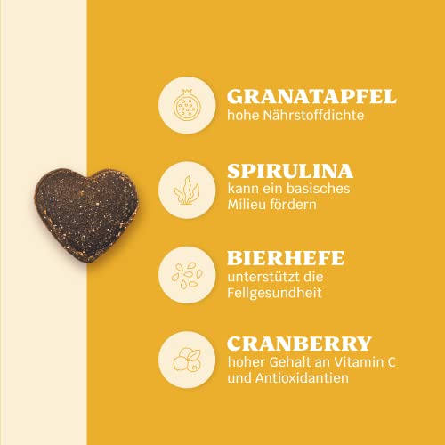 14-in-1 Immunsystem Leckerli für Hunde - Immu Push 30 Snacks (110g) von mammaly - Stärkt Abwehrkräfte mit Hagebutte, Granatapfel, Ashwagandha, Bierhefe, Zink - Reich an Antioxidantien, Vitamin A, C, K