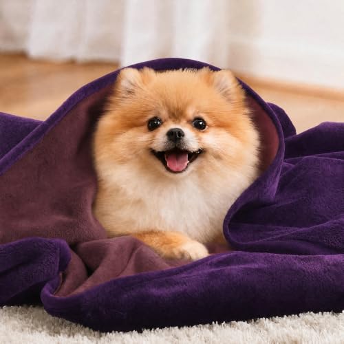 Image of LOOBANI Waterproof Dog Blanket for Bed: Spill-Proof Puppy Blankets for Small Medium Dogs Washable, Reversible Soft Flannel Pet Throw for Couch Sofa Cover, Travel, Camping, 30 inch x 40 inch, Purple