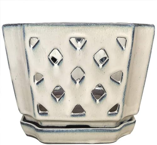 Beitewei Orchid Pots with Holes 7 inch Orchid Planter Large