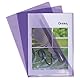 Exacompta 661205E 100er Pack PVC-Kunststoff Aktenhüllen. Für DIN A4 transparent glasklar violett oben und seitlich offen Plastikhülle Klarsichthülle für Büro und die mobile Organisation