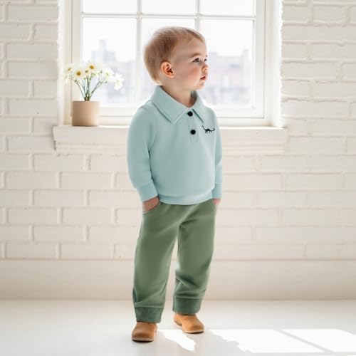 Toddler Boy Dinosaur Sweatshirts Long Sleeve Lapel Collar Button Pullover Tops Kids Infant Baby Fall Winter Clothes3