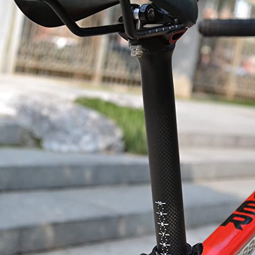 Carbon Bike Seatpost 27.2/31.6mm