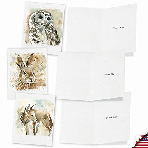 Image of The Best Card Company 10 Assorted Thank You Notes Box Set 4 x 5.12 Inch with Envelopes (10 Designs, 1 Each) Watercolor Wildlife M6629TYG