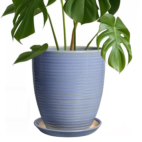 lawn the 7 best ceramic planter pots