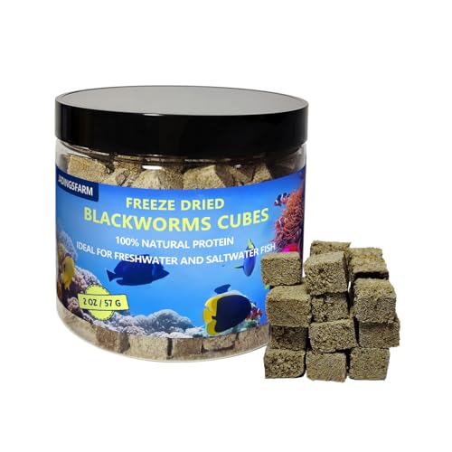 JADINGSFARM Premium Grade Blackworms Fish Food, Natural High Protein, No Preservatives, Freshwater Tropical Aquarium, Cichlids, Discus, Betta, Marine Saltwater Fish Food, 2 oz