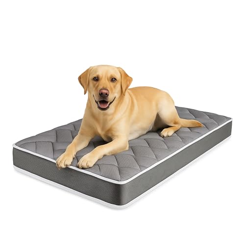 Comparativa de Colchon Para Perros Invierno para no equivocarte al comprar. Mejor precio en internet colchon para perros MATTREX | Colchón para Perro Tamaño 120x60x12 Fabricado en España, Reversible Invierno y Verano - Cama Perro ortopédica...