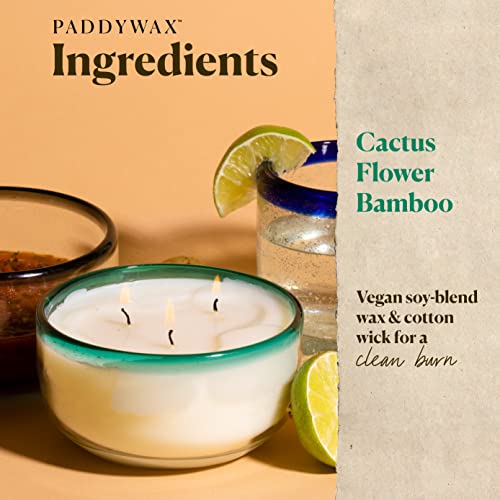 Paddywax La Playa Artisan Hand-Poured Scented Candle, 14-Ounce, Green Rim - Cactus Flower Bamboo #TOP1