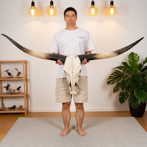 TUPAFJU 70in Long Horn Skull Head,Longhorn Wall Decor,Long Horn,Cow Skull Wall Decor,Cow Horns,Bull Horns Wall Decor,Long Horn Skull Head(Black Horn)