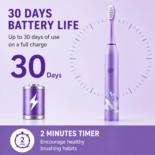 Image of Sonic Electric Toothbrush for Kids with 6 Modes, 4 Brush Heads & Rechargeable Battery, Ultra Soft Nylon Bristles, IPX7 Waterproof, Electric Power Tooth brush (Purple)