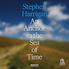 An Anchor in the Sea of Time Audiolibro Por Stephen Harrigan arte de portada