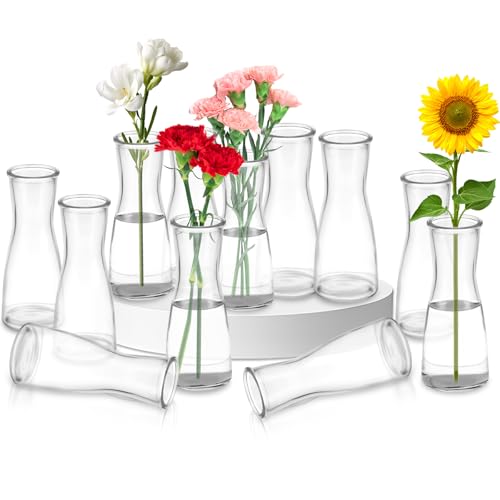 Ledebouk Lot de 12 Mini Vases en Verre, Transparent, Taillenbetontes Design, Petits Vases pour Decoratifs de Table Mariage, pour Décorations de Table Moderne, Centres de Table