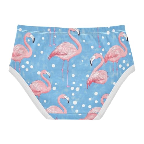Wusikd Flamingo Pink Flamingos Girls' Underwear Cotton Blue Dots Girls Briefs Soft Toddler Underwear 2T2