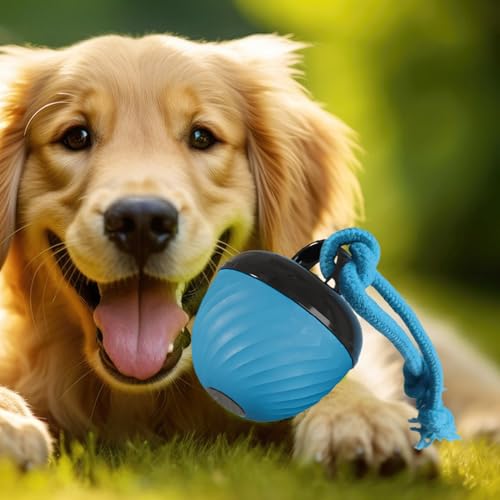 Jouet pour chien intelligent balle interactive pour l'occupation au salon