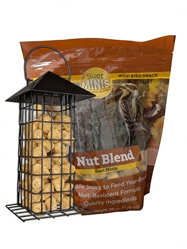 Wildlife Sciences No Melt Suet Dough Suet Minis and Feeder Combo | 1 Bag of Nut Blend Minis 28 oz | 1 Suet Mini Feeder