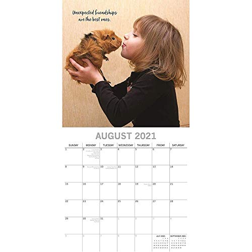2021 Wall Calendar - Best Buddies Calendar, 12 x 12 Inch Monthly View, 16-Month, Cute Kids and Pets Theme, Includes 180 Reminder Stickers