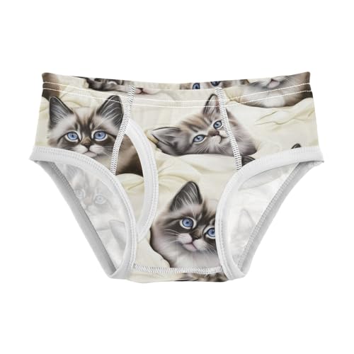 CHIFIGNO Underwear for Boys Cute Cats Cream Cotton Boys Briefs Soft Printed Briefs Underwear