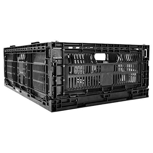 Caisse pliable JEZERO 60x40x19,6 cm, bac plastique noir résistant pour stockage polyvalent