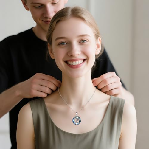 Snake Necklace Sterling Silver Snake Necklace with Crystal Gemstone Serpent Gift for Women4