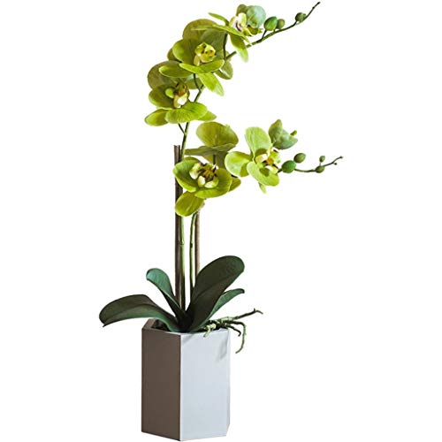 ERoomQ Flores artificiales en maceta de Phalaenopsis con jarrón, casi natural, arbusto mixto, para mesas de comedor, hogares, oficinas, arreglos florales de plantas artificiales