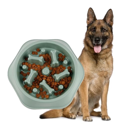 Image of Durable Slow Feeder Bowl for Dogs| Anti-Choke Non-Slip Pet Feeding Base and Easy to Clean| Dish Promotes Healthy Eating| Reduces Bloating and Digestive Issues| Interactive Maze Design (Green)