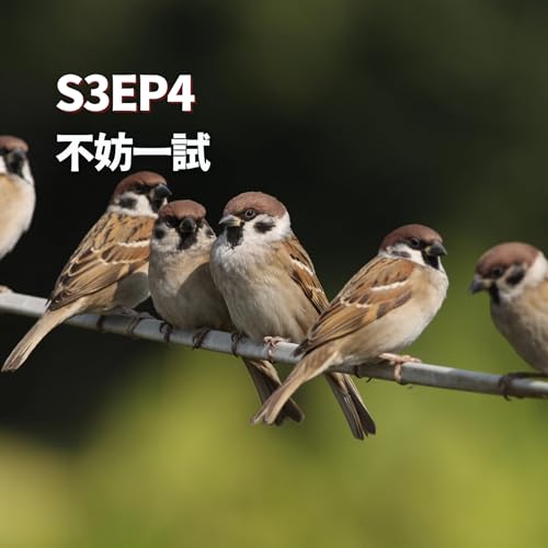 S3EP4 - 不妨一試