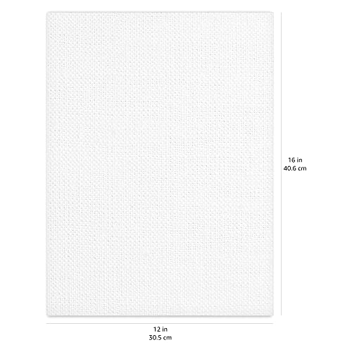 Amazon Basics Painting Canvas Panels, 12 Pack, White, 16" L X 12" W #TOP5
