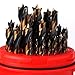 VALYRIANTOOL 29PCS HSS Brad Point Wood Drill Bits Set for Carpenter Woodworking, 3-Flat Shank Black Gold for Hardwood, Plywood, Plastic 1/16