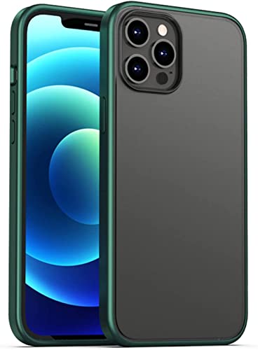Coque iPhone 12 Pro Max 6,7" vert givré et antichoc en silicone TPU