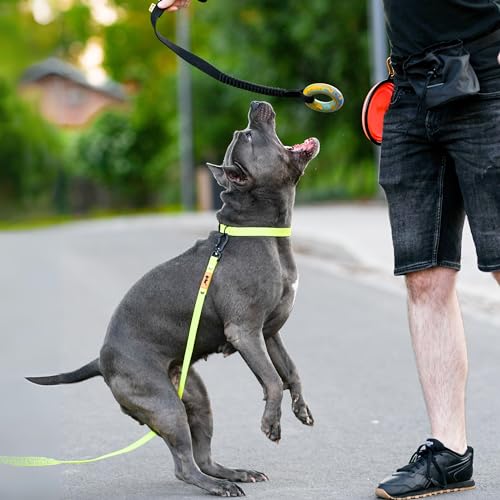 Dingo Spielzeug mit Ring # 10 cm Griff Bungee 65 cm Hundespielzeug Spielen mit Hund Training Apporte 15674