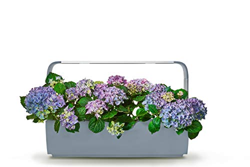 Tregren - Jardín de Cocina T12 (Gris)