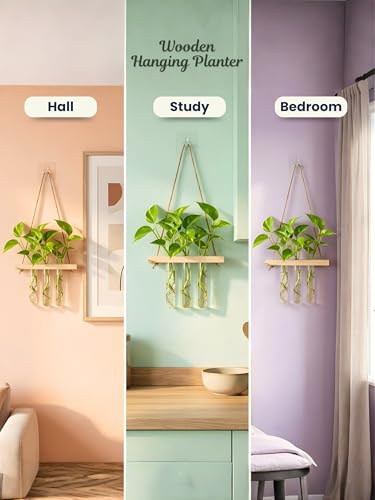 Image of Bombay Greens ; Sow, grow, eat, repeat Hanging Planter with Wooden Holder & Rope | 3 Test Tube Hanging Plant Indoor Stand | Wooden Planter for Home Decor, Living Room, Balcony & Office Decoration