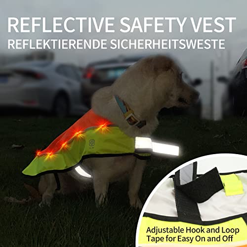 LaRoo Hunderegenmantel, Leuchtendes LED Wasserdicht Winter Reflektierende Regenmantel für Hunde mit Bauchschutz,USB Wiederaufladbarem Sicherheitsweste für Kleine Grosse Hunde(M,Fluoreszierende Orange)