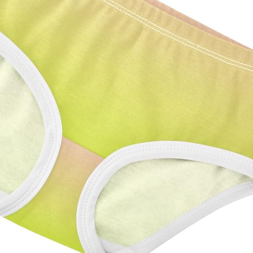 Joisal Toddlers Underwear Floral 2t Cotton Cute Panties Girl Fancy Briefs Undies Kids Blush Pink Light Lime Gradient4