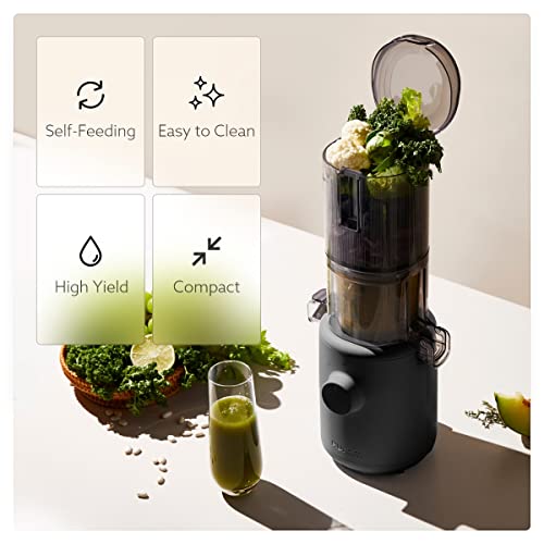 Compare Hurom H310A Personal Self Feeding Slow Masticating Juicer (Matte Black) (Renewed) Price