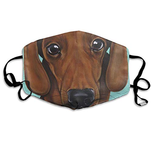 Unisex Adult Dachshund Dog Mint Green Seamless Face Mask Bandanas For Outdoors, Shopping, Sports, Running