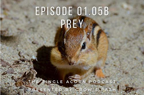 01.05b – Prey cover art