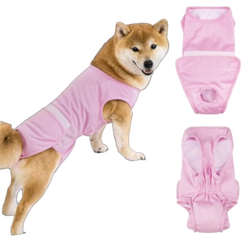 Nikkashop p㕞   pi pEFA pJo[ GUxXJ[̑ ی앞 Y p D  ی 畆a ʋC tHē~ ^ ^ ^ (sN, 3XL)