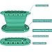 Paint Brush Cleaner Rinse Cup (All-in-One), Foldable Brushes Holder & Brush Cleaning Cup for Acrylic, Watercolor, and Water-Based Mediums, for Fine Art, Studio, Classroom(Green)