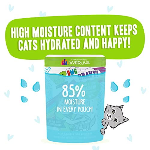Weruva 0737 B.F.F. Omg - Best Feline Friend Oh My Gravy!, Shazaam! With Lamb & Tuna In Gravy Cat Food thumb #5