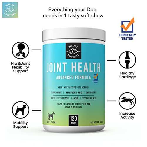 Probiotics For Dogs & Glucosamine Chondroitin Bundle - 120 Soft Chews Each - Dog Probiotics And Digestive Enzymes With Glucosamine For Dogs - Vet Strength Pet Supplement - Made In Usa #TOP4