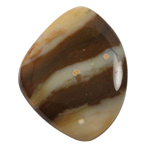 DENMOUS  mE t@V[ J{V i` [X  31.75Jbg Qx76-B09HMLGS-1D