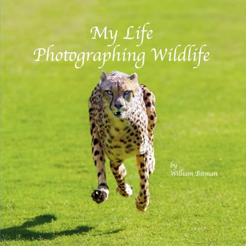 My Life Photographing Wildlife (Bitman Photography)
