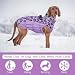 Kuoser Hundemantel Winter für kleine Hunde Wasserdicht & Winddicht, Warme Hundejacke mit Fleecefutter Reflektoren Reißverschluss, Pelzkragen & D-Ring – Outdoor Hundebekleidung, S