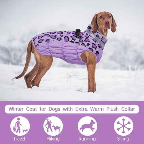 Kuoser Hundemantel Winter für kleine Hunde Wasserdicht & Winddicht, Warme Hundejacke mit Fleecefutter Reflektoren Reißverschluss, Pelzkragen & D-Ring – Outdoor Hundebekleidung, S