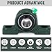 Gisafai 8 Pcs UCP204-12 Pillow Block Bearing with 3/4