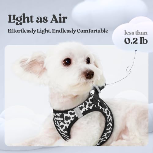 Image of rabbitgoo Dog Harness Small Sized and Leash Set, Step-in Puppy Pet Vest