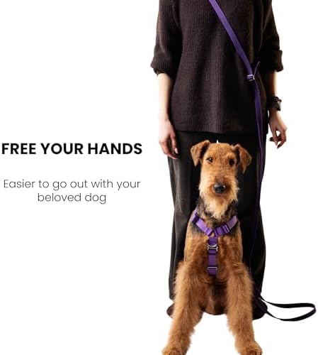 PETFORTA 4 in 1 Adjustable Hands Free Dog Leash β 6.5β10 ft Multi-Functional Training Leash for Walking, Running & Hiking, Crossbody & Waist Wear, Traffic Control Handle, Non-Slip Grip - 5